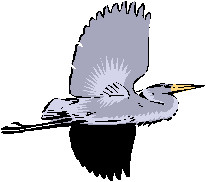 Heron