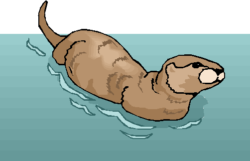 Otter